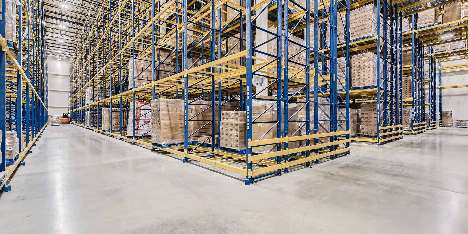 星空官网 布莱顿