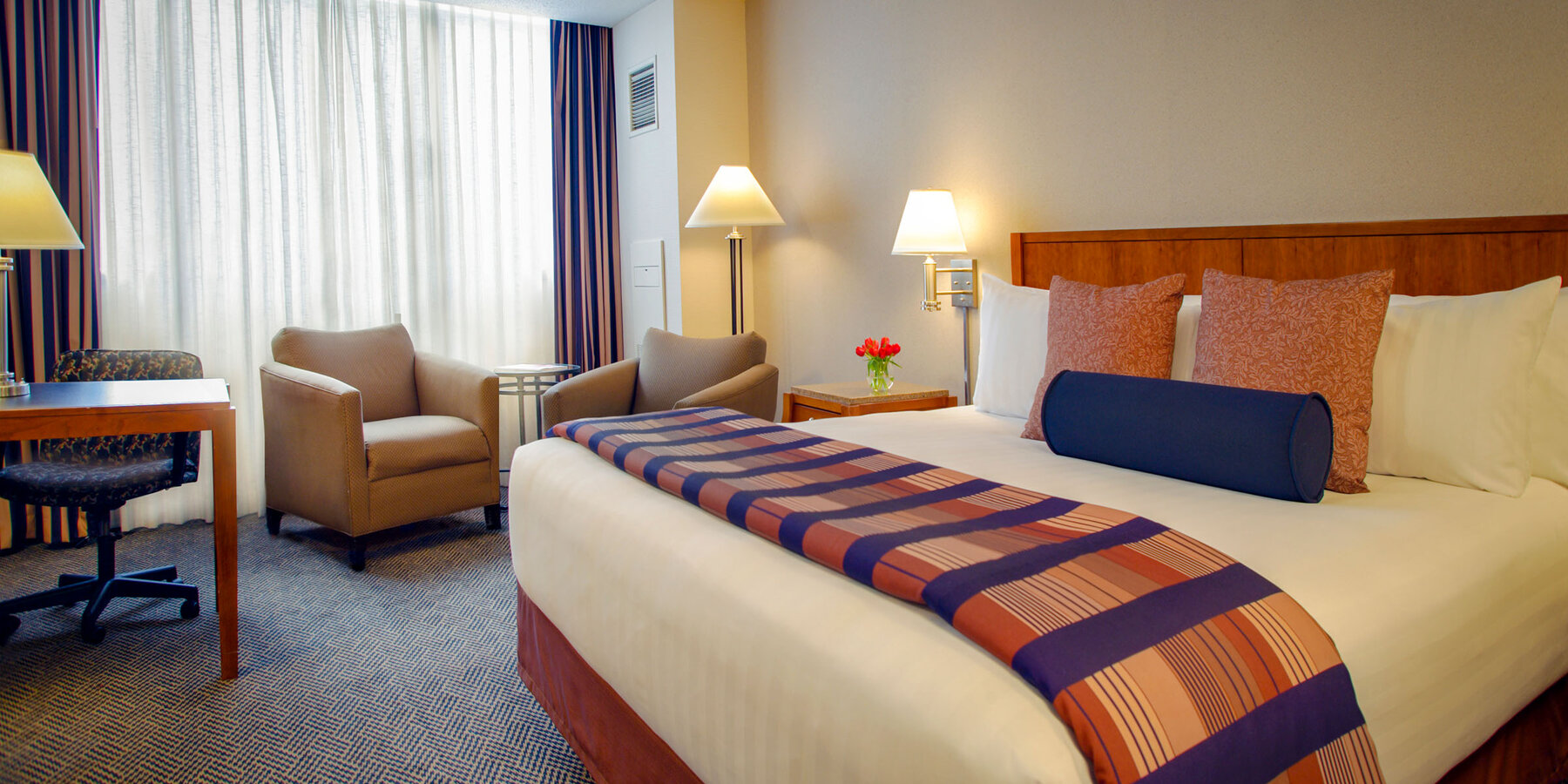 星空官网网页版建设和装修 - 奥黑尔凯悦星空官网网页版客房