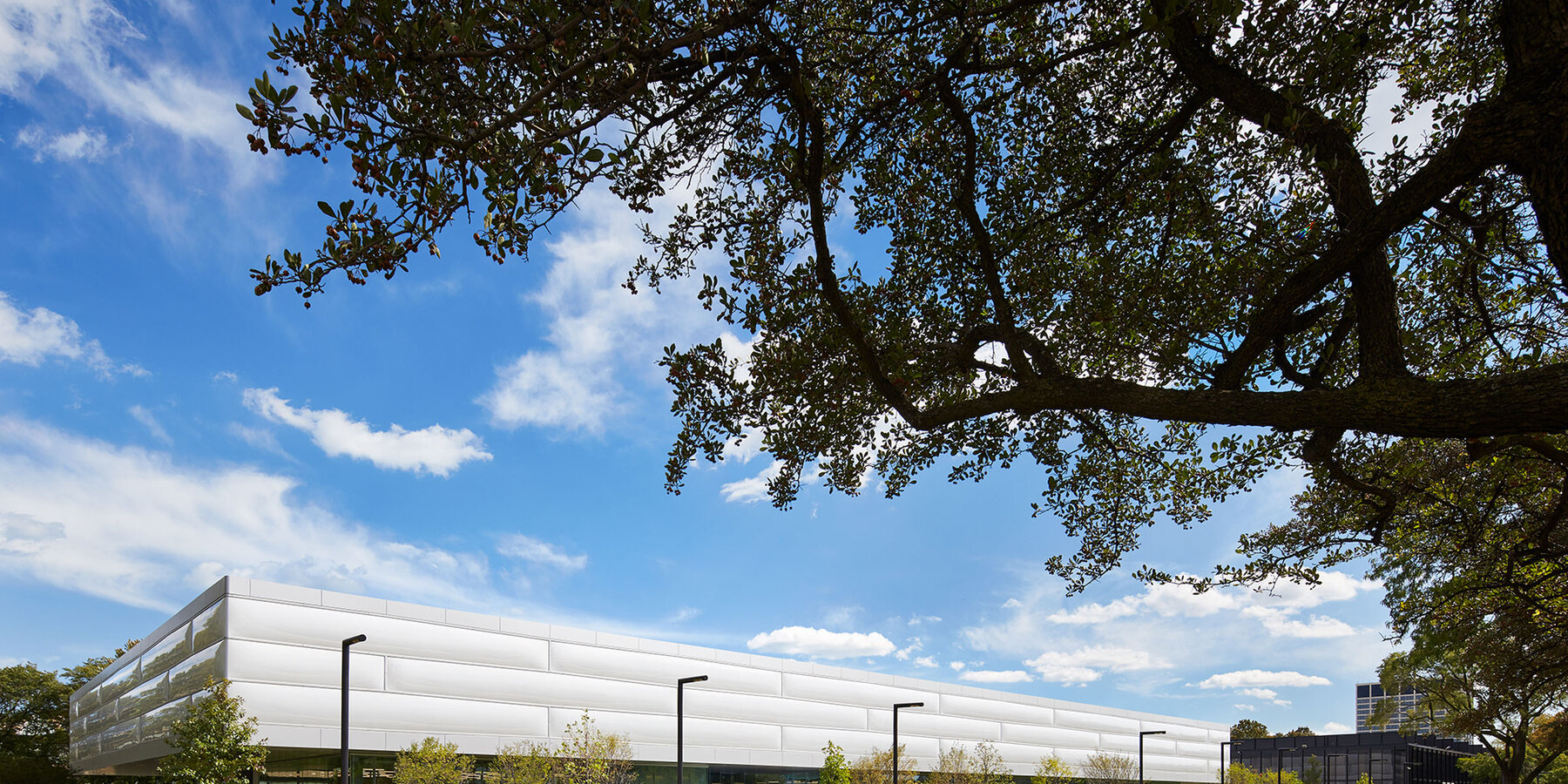 教育建设-IIT Ed Kaplan 学院外观