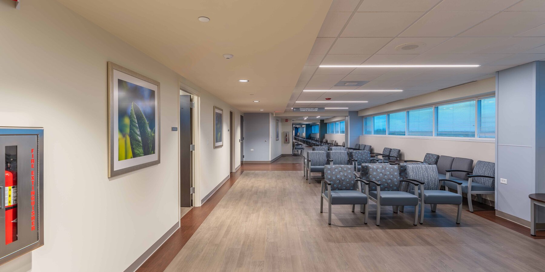 星空官网·科普利