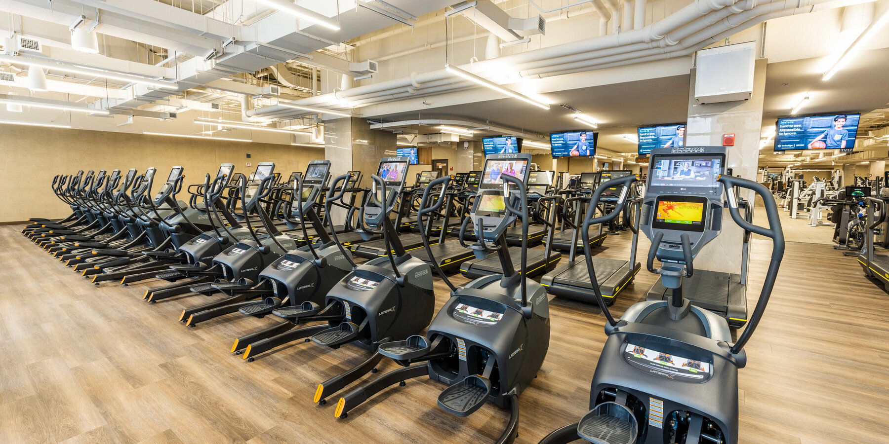 星空综合体育官网一号星空官网寿命